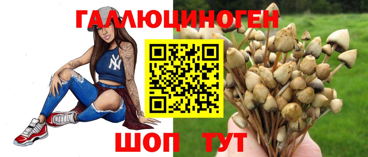 Псилоцибиновые грибы Psilocybine cubensis  Псилоцибиновые грибы мицелий  Нижнеудинск  Вход с VPN 